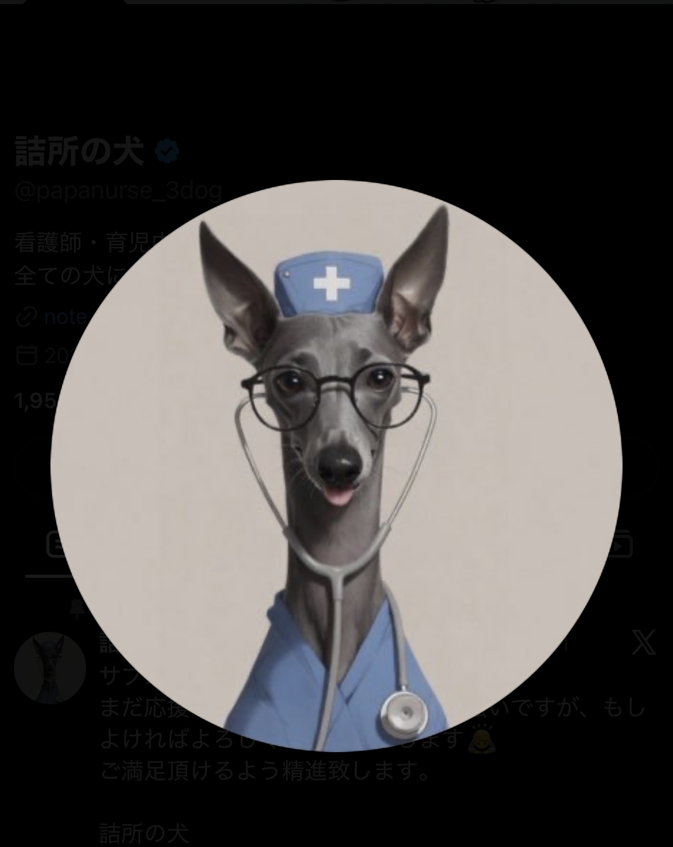 詰所の犬